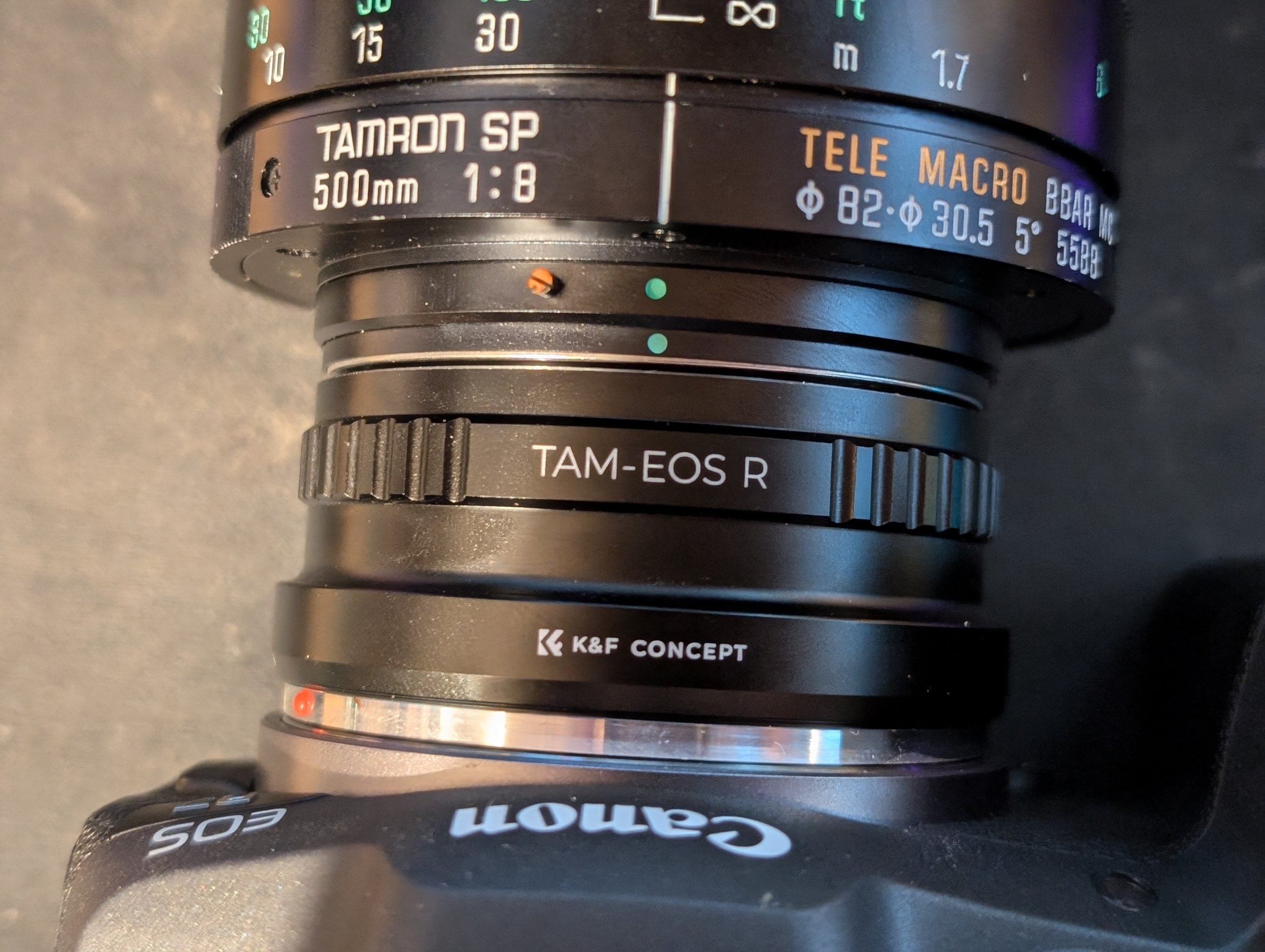 Tamron SP 500mm f/8 Lens - An Accidental Favorite Tamron SP 500mm f/8 Lens - An Accidental Favorite